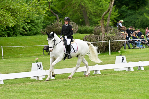  | 30052025 Dressur  (1431) 