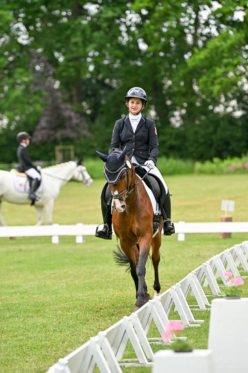  | 30052025 Dressur  (1435) 