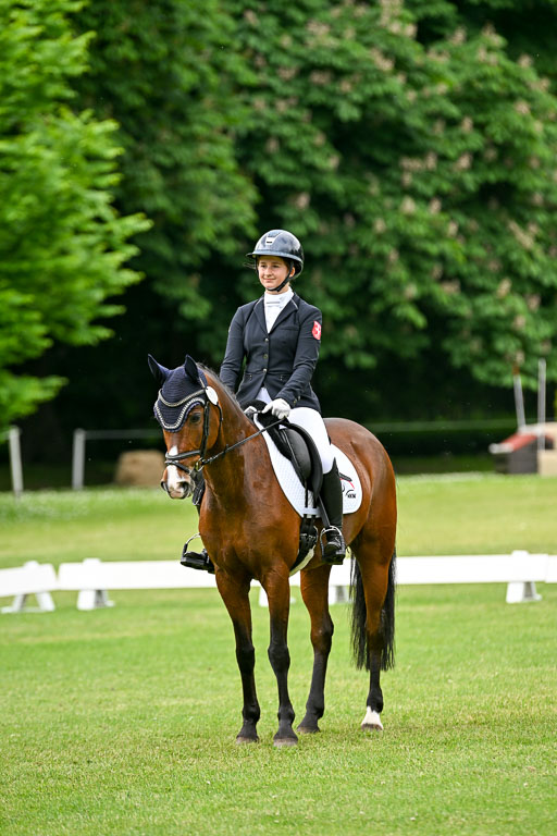  | 30052025 Dressur  (1443) 
