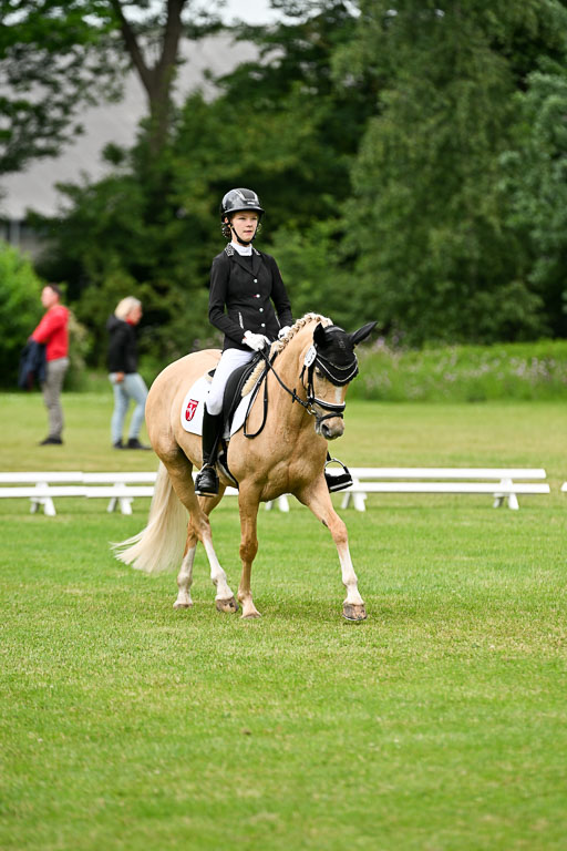  | 30052025 Dressur  (1472) 