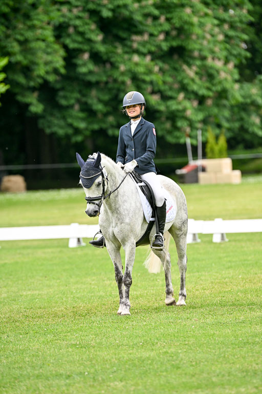  | 30052025 Dressur  (1478) 