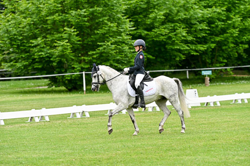  | 30052025 Dressur  (1481) 