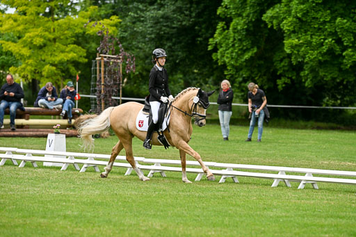  | 30052025 Dressur  (1483) 