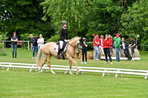  | 30052025 Dressur  (1485) 