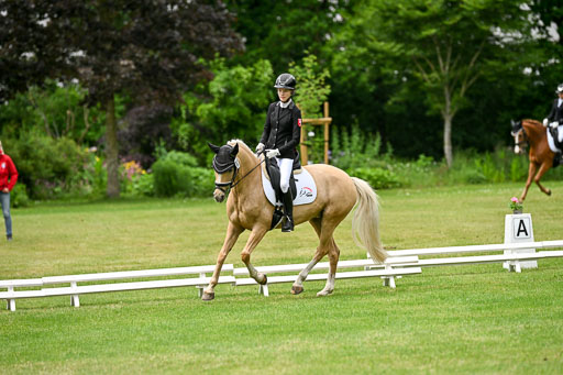  | 30052025 Dressur  (1489) 