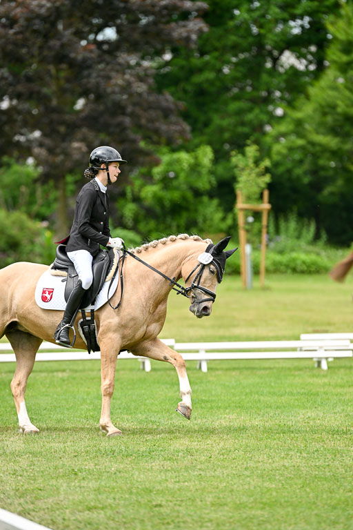  | 30052025 Dressur  (1490) 