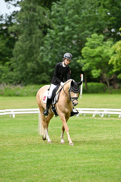  | 30052025 Dressur  (1498) 