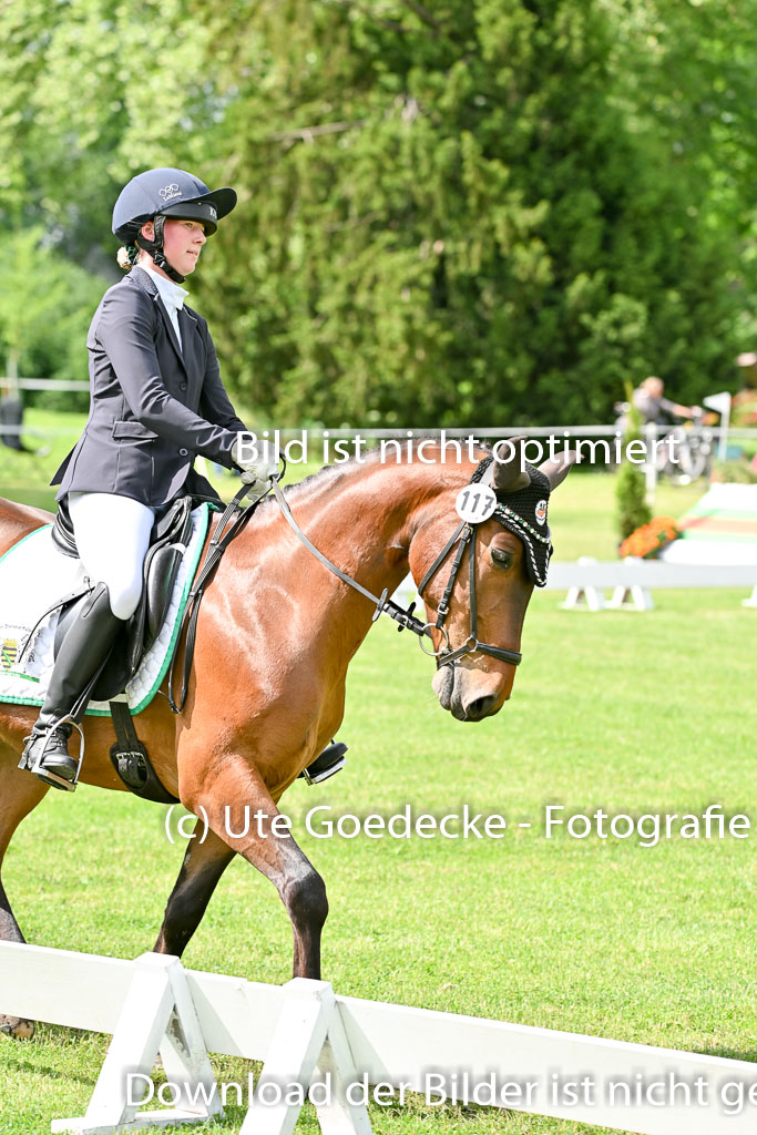  | 30052025 Dressur  (1000) 