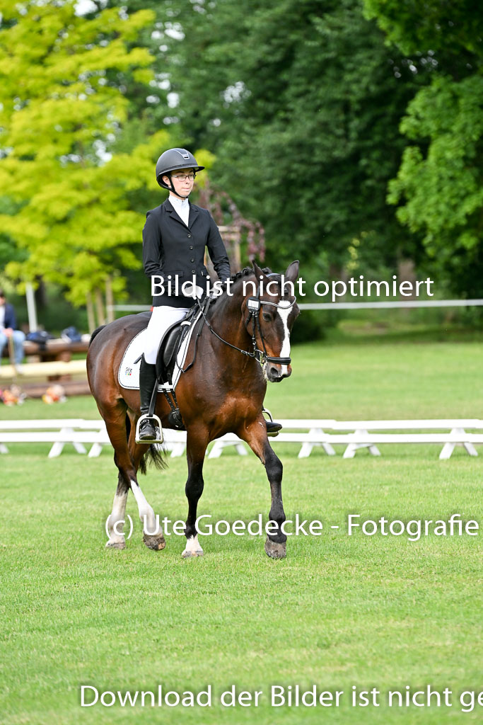  | 30052025 Dressur  (1008) 