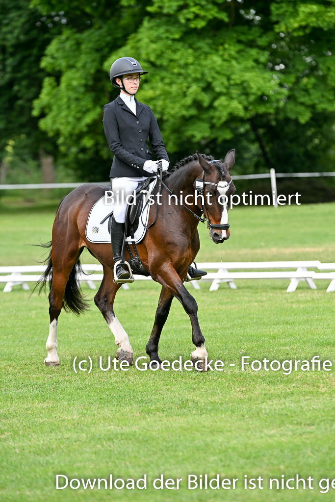  | 30052025 Dressur  (1009) 
