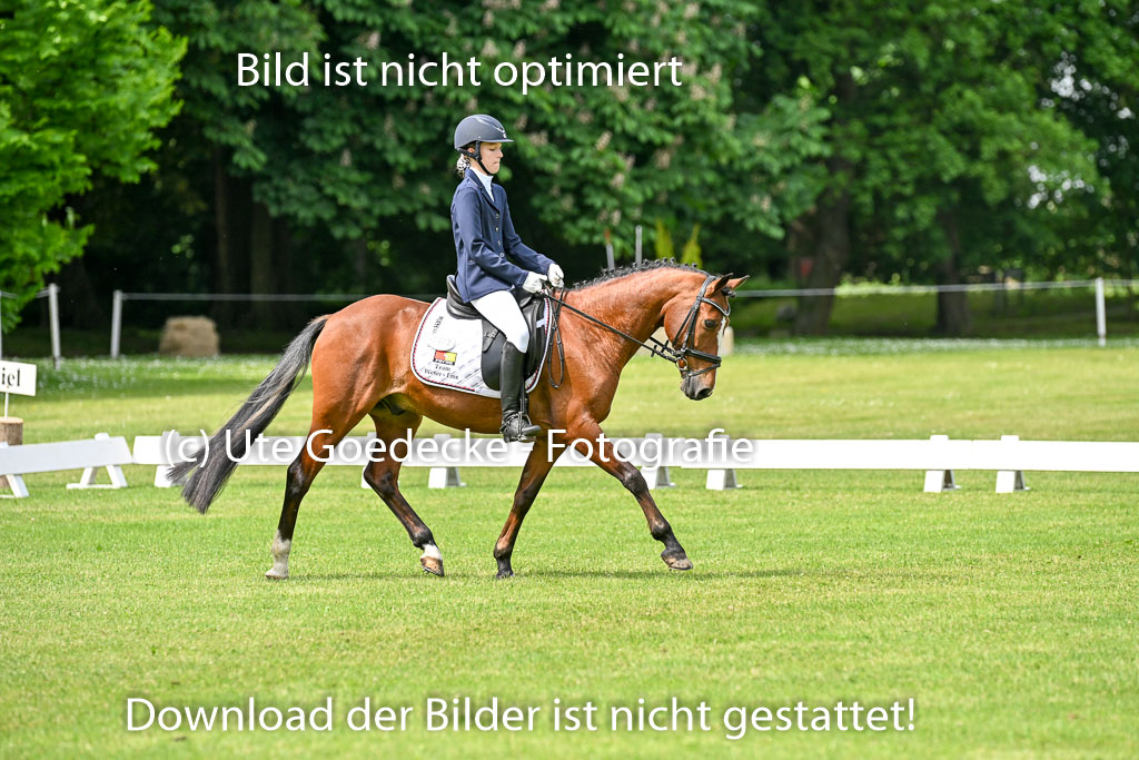  | 30052025 Dressur  (1018) 
