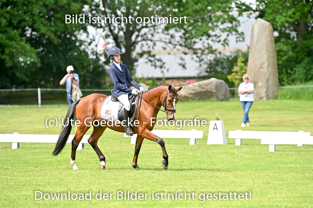  | 30052025 Dressur  (1025) 