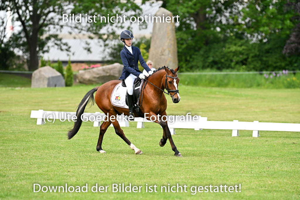  | 30052025 Dressur  (1027) 