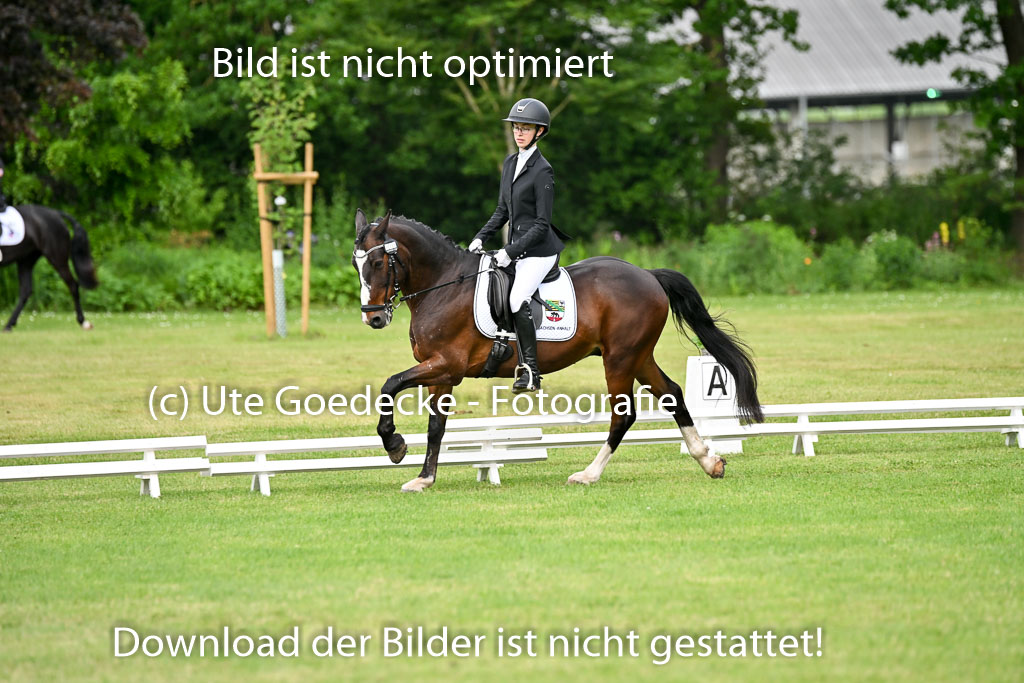  | 30052025 Dressur  (1029) 