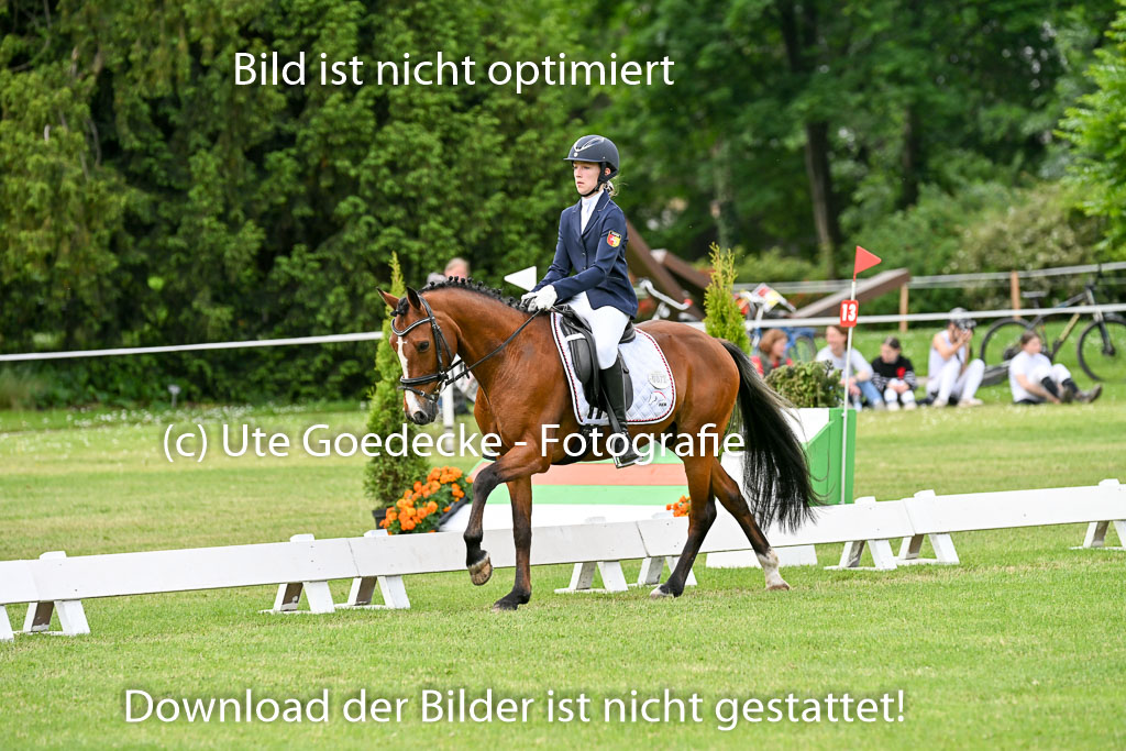  | 30052025 Dressur  (1034) 