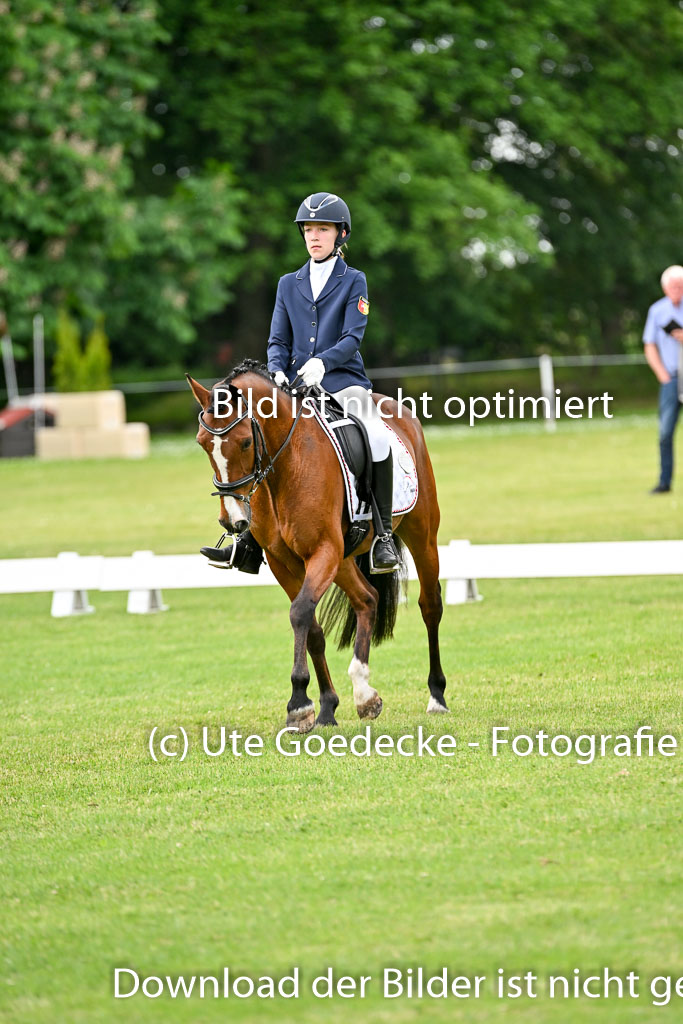  | 30052025 Dressur  (1038) 