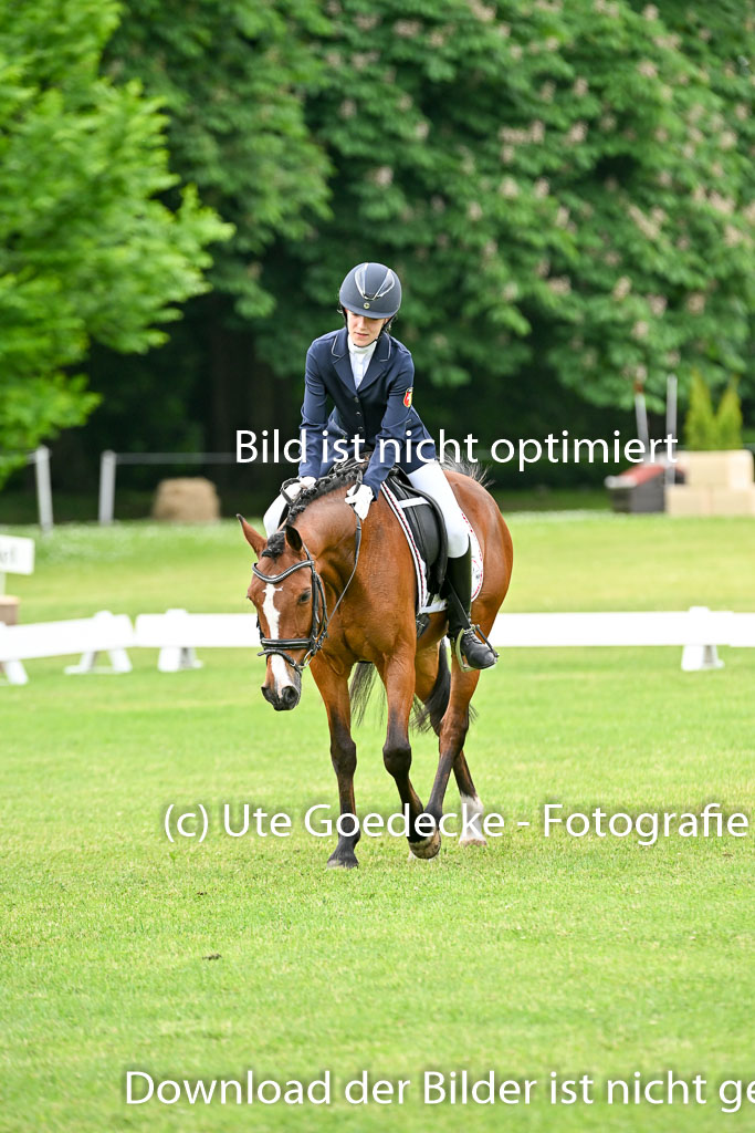  | 30052025 Dressur  (1040) 