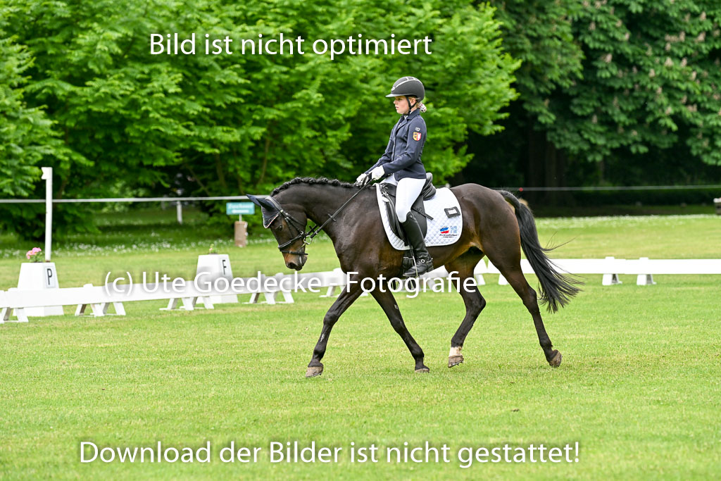  | 30052025 Dressur  (1049) 