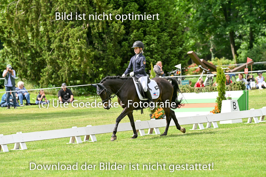  | 30052025 Dressur  (1061) 