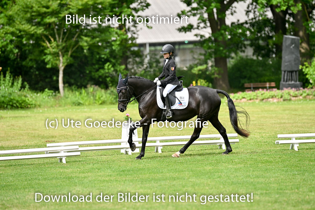  | 30052025 Dressur  (1065) 