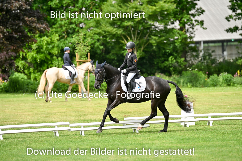  | 30052025 Dressur  (1066) 