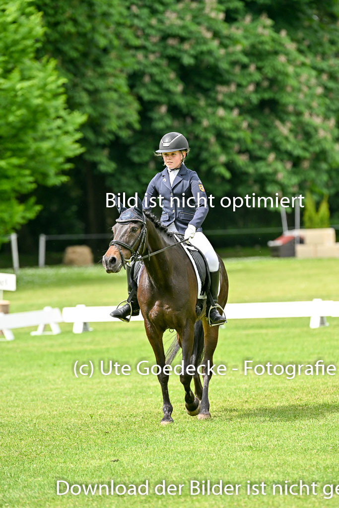  | 30052025 Dressur  (1068) 