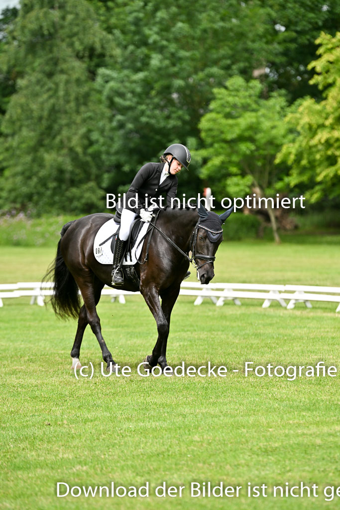  | 30052025 Dressur  (1073) 