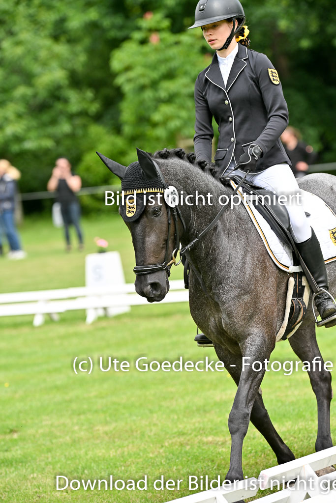  | 30052025 Dressur  (1076) 