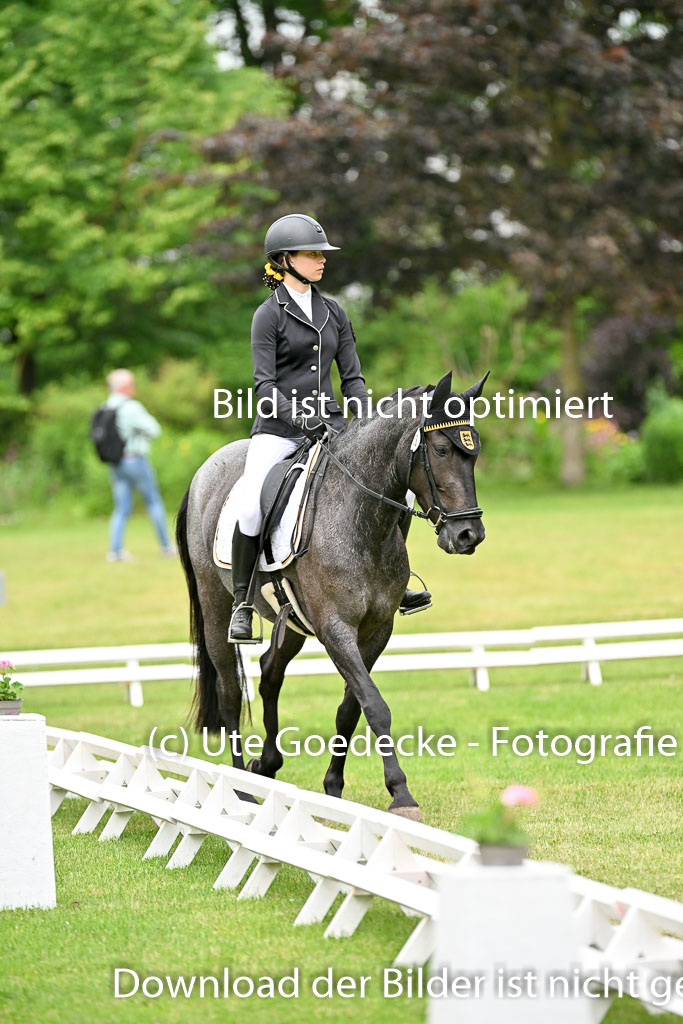  | 30052025 Dressur  (1088) 