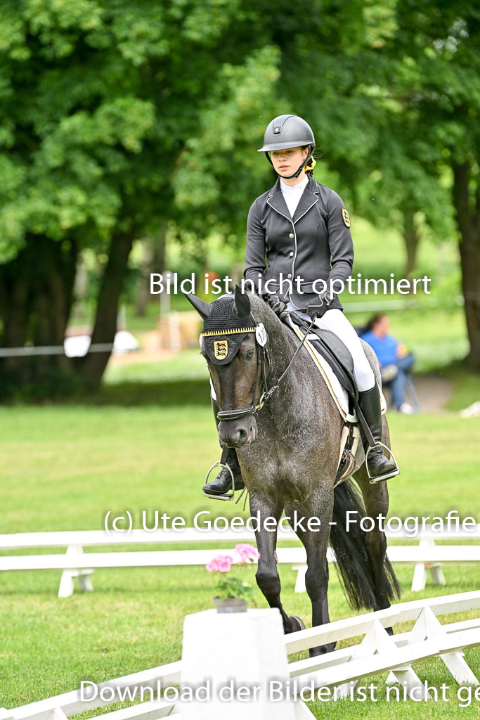  | 30052025 Dressur  (1091) 