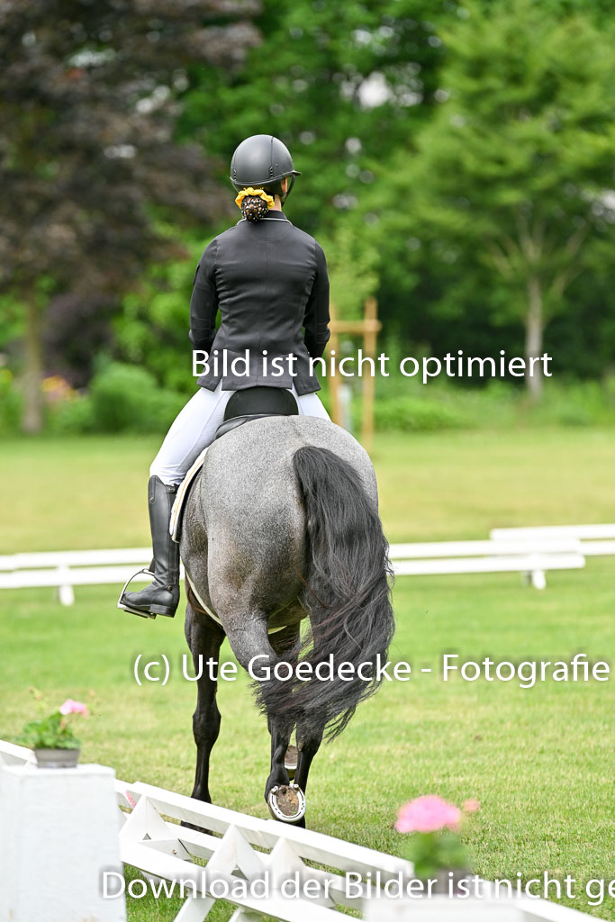  | 30052025 Dressur  (1100) 