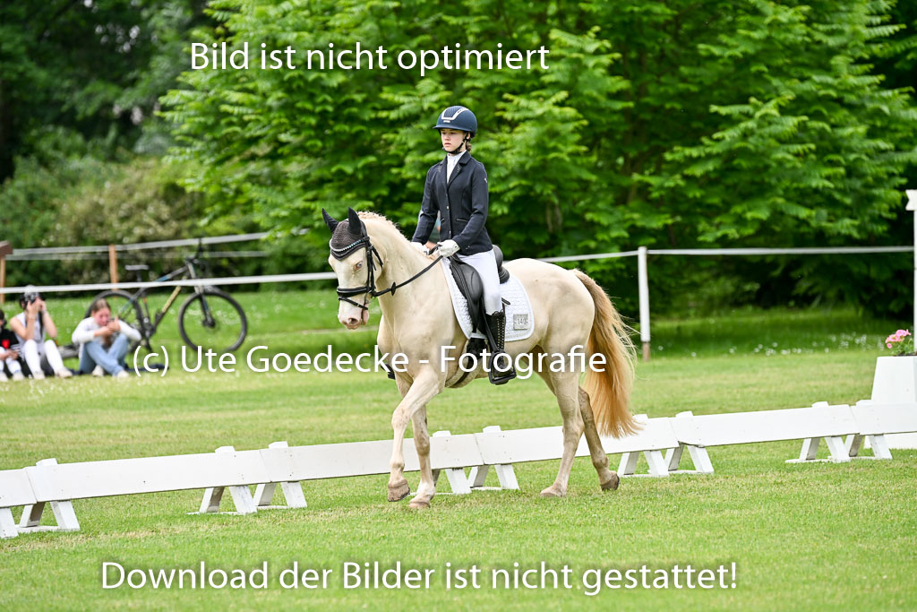  | 30052025 Dressur  (1101) 