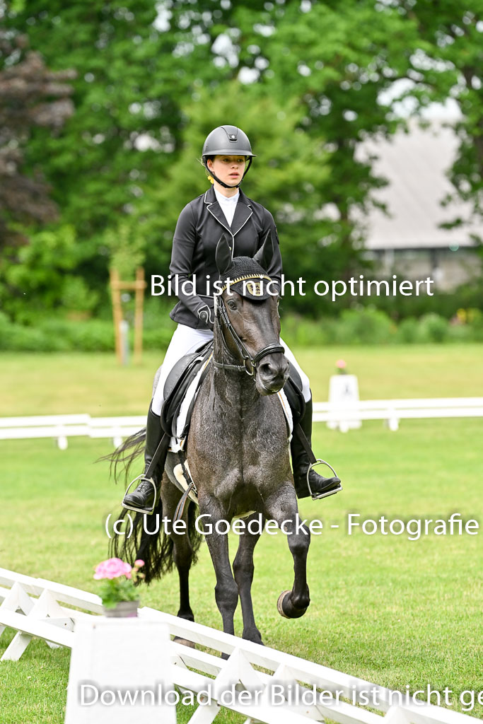  | 30052025 Dressur  (1107) 