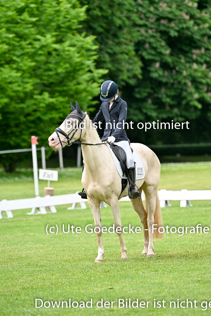  | 30052025 Dressur  (1109) 