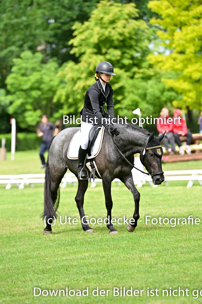  | 30052025 Dressur  (1114) 