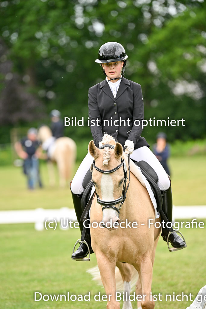  | 30052025 Dressur  (1117) 