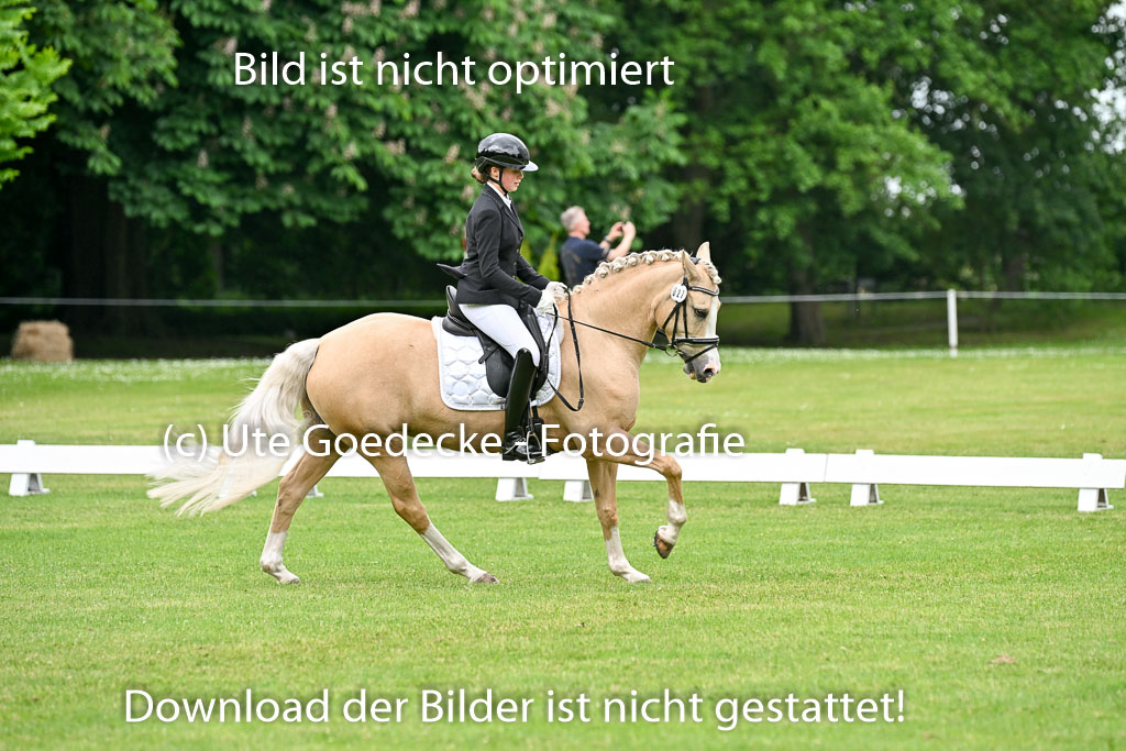  | 30052025 Dressur  (1119) 