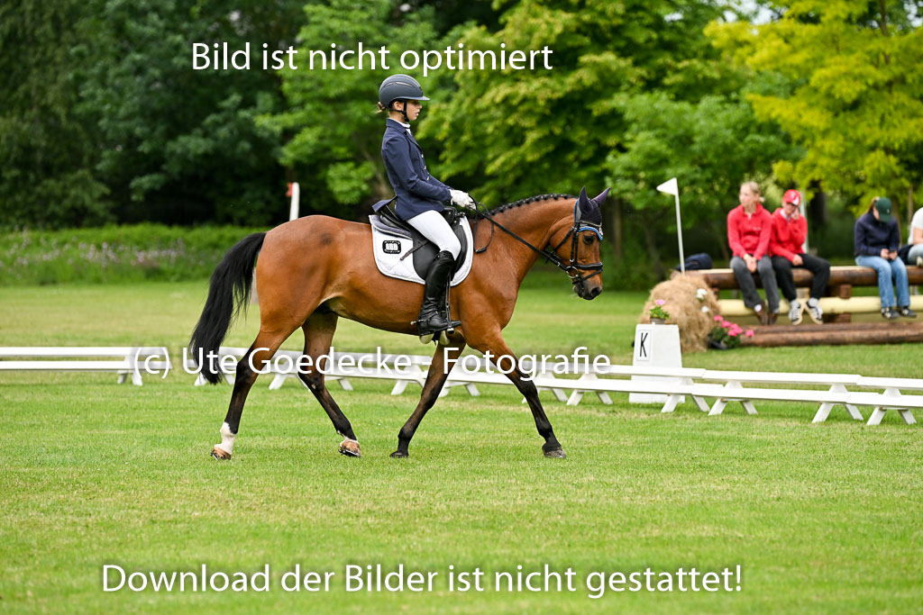 | 30052025 Dressur  (1121) 