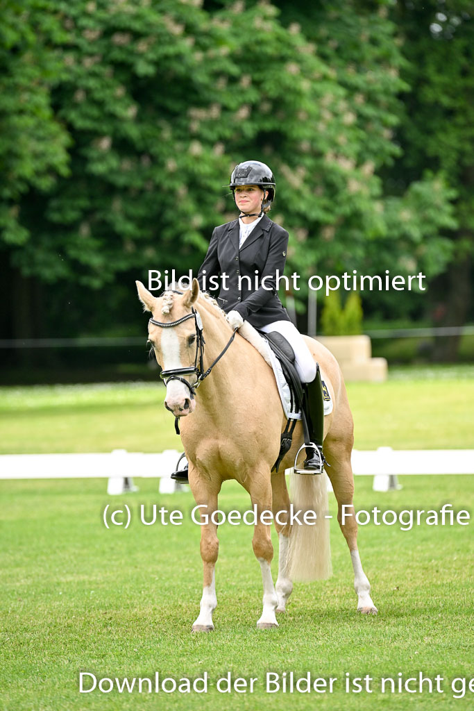  | 30052025 Dressur  (1132) 