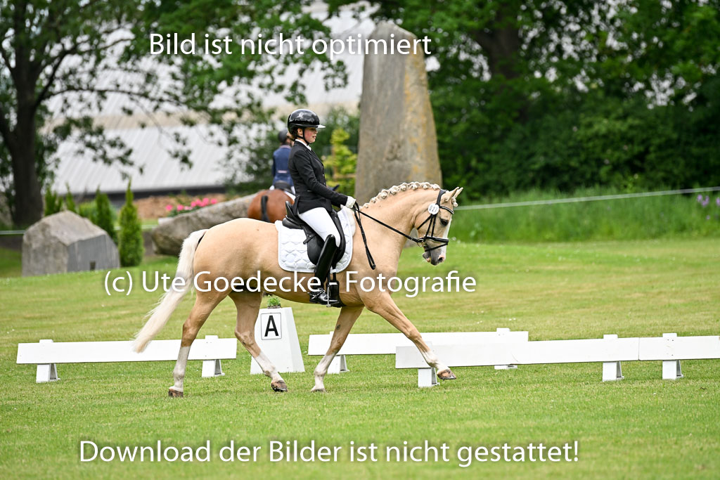  | 30052025 Dressur  (1135) 