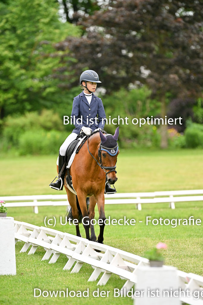  | 30052025 Dressur  (1141) 
