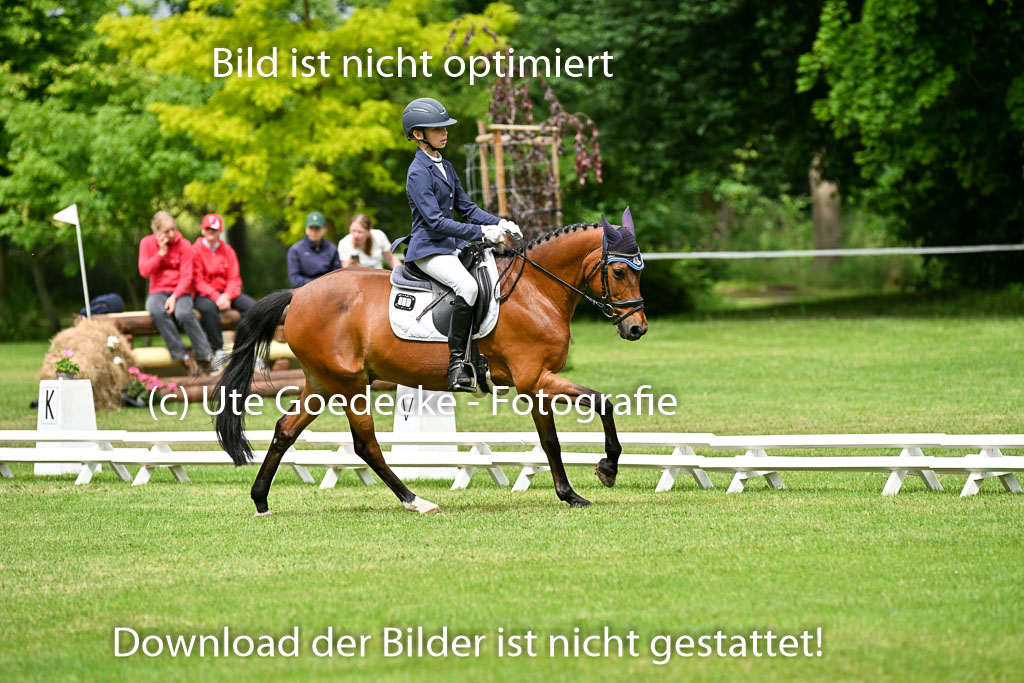  | 30052025 Dressur  (1147) 