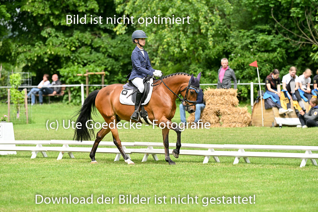  | 30052025 Dressur  (1149) 