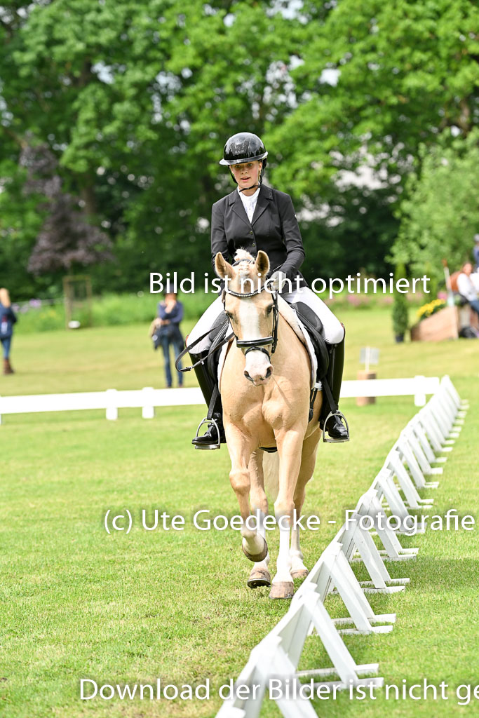  | 30052025 Dressur  (1151) 