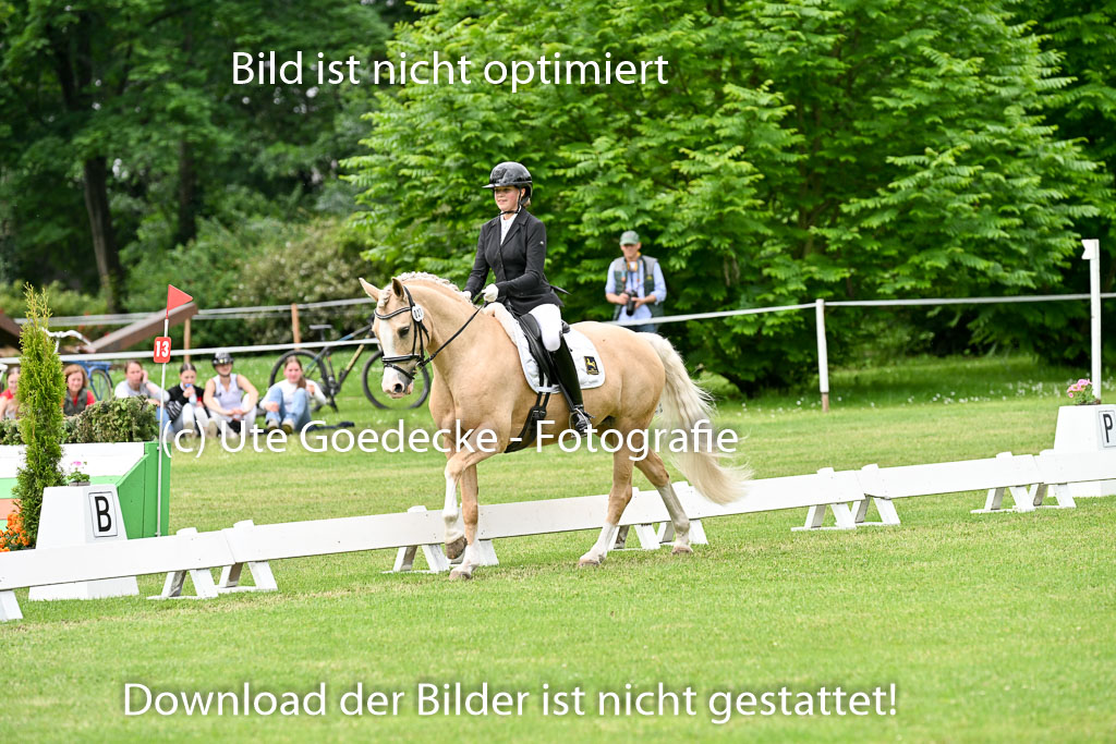  | 30052025 Dressur  (1154) 