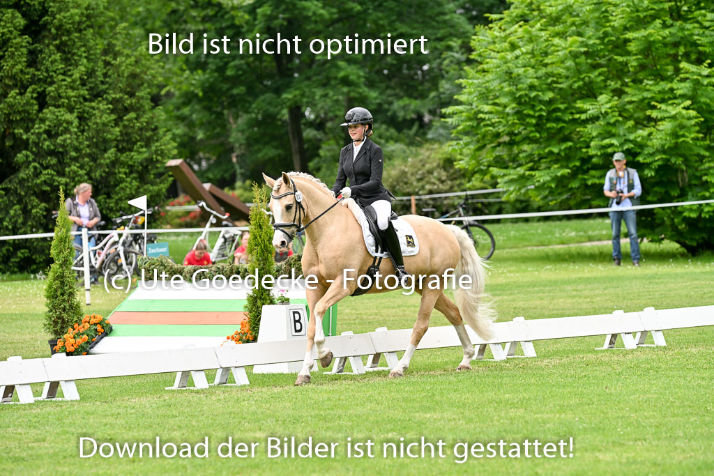  | 30052025 Dressur  (1155) 