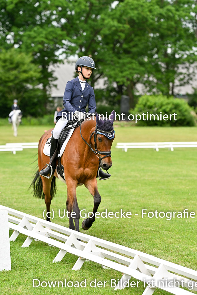  | 30052025 Dressur  (1158) 