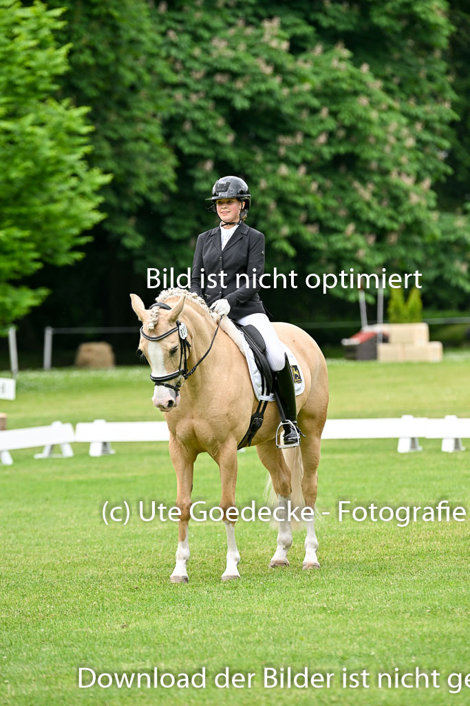  | 30052025 Dressur  (1160) 
