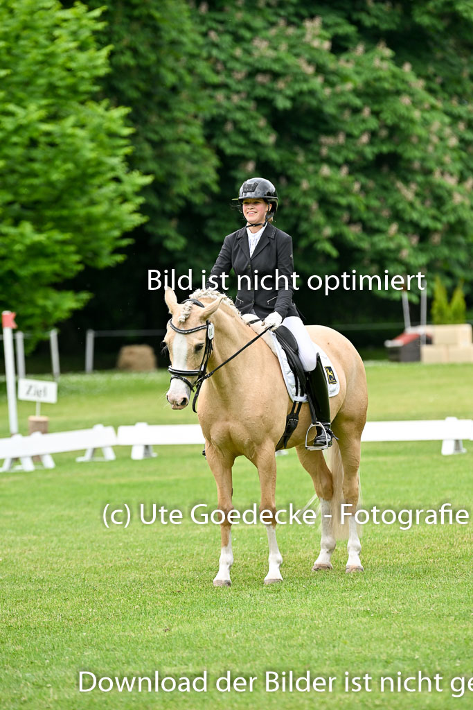  | 30052025 Dressur  (1162) 