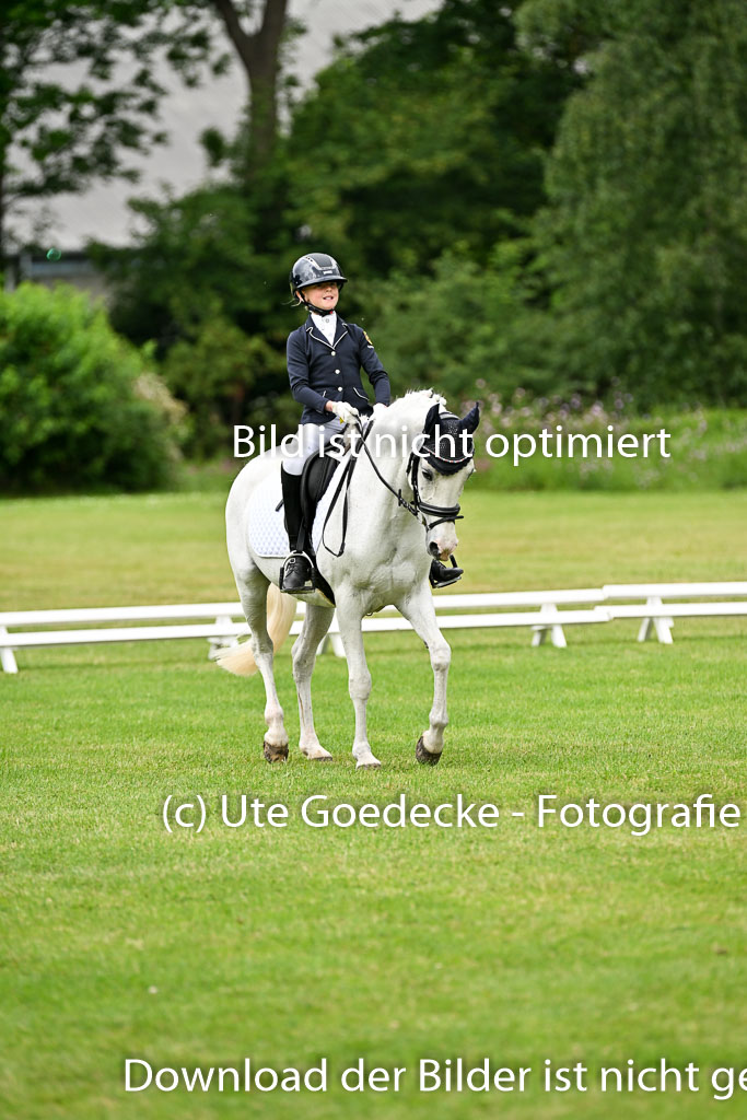  | 30052025 Dressur  (1169) 